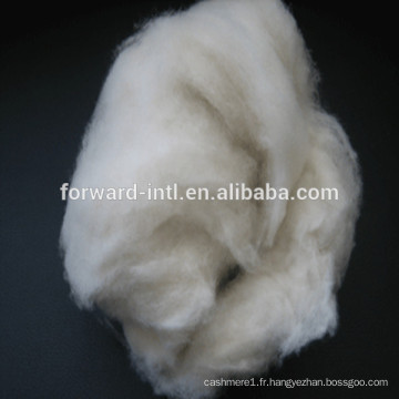 peigné mouton fine laine de cachemire